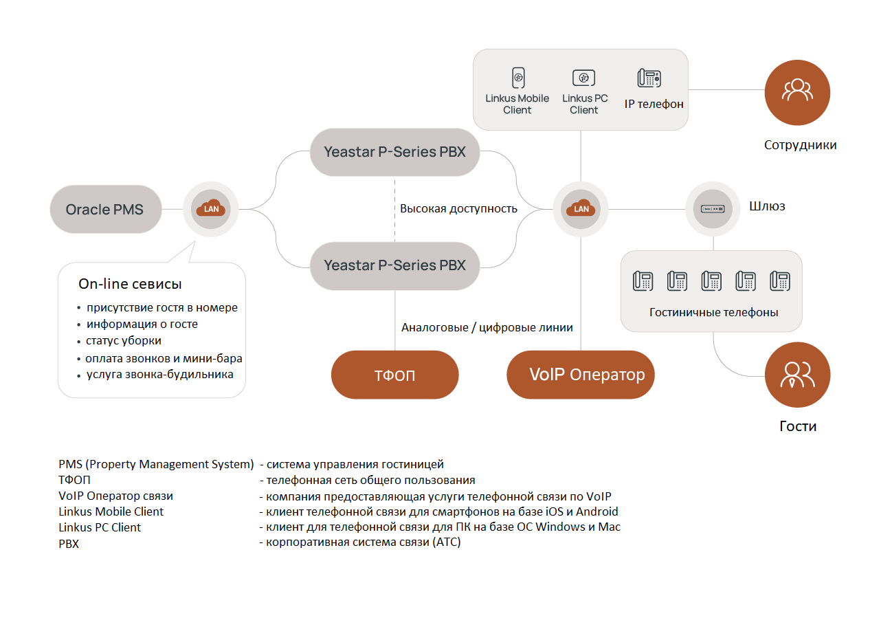 Лицензия серия P P560 PMS License